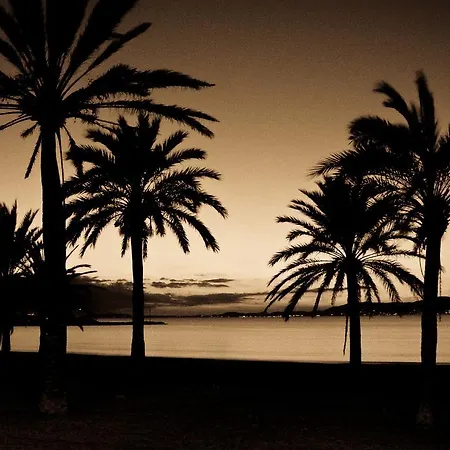 Hotel Gracia El Arenal (Mallorca)