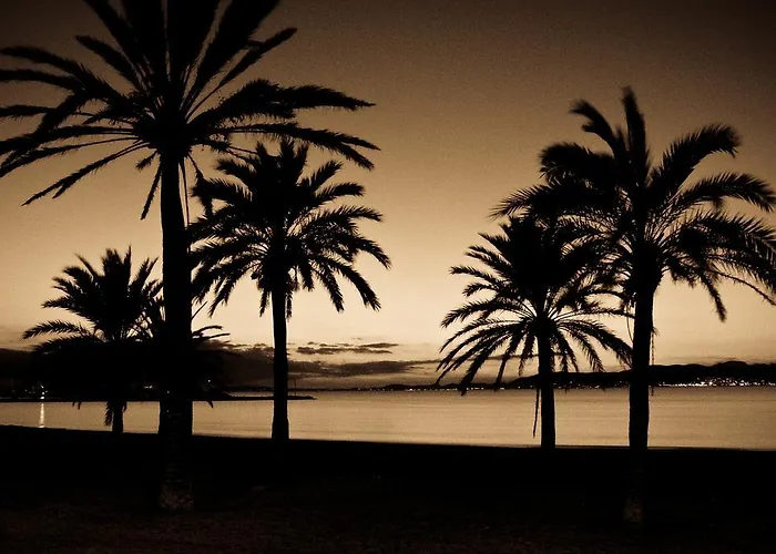 Hotel Gracia El Arenal (Mallorca)