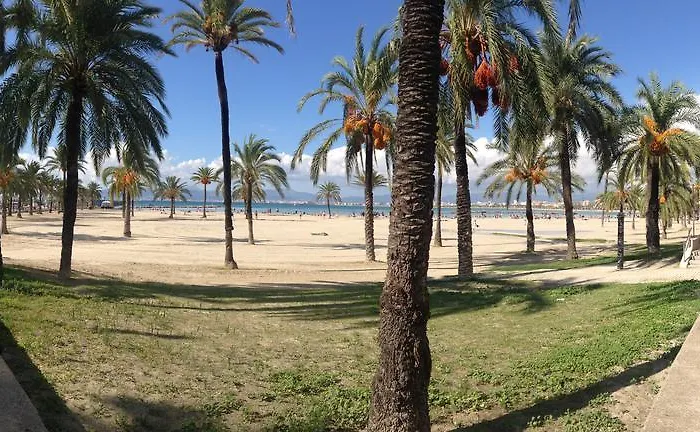 Hotell Gracia El Arenal (Mallorca)